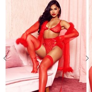 NWT Fashion Nova sheer Robe...”Robe Only”